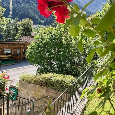 Monte Grau 5 By Interhome Apartment Bad Gastein